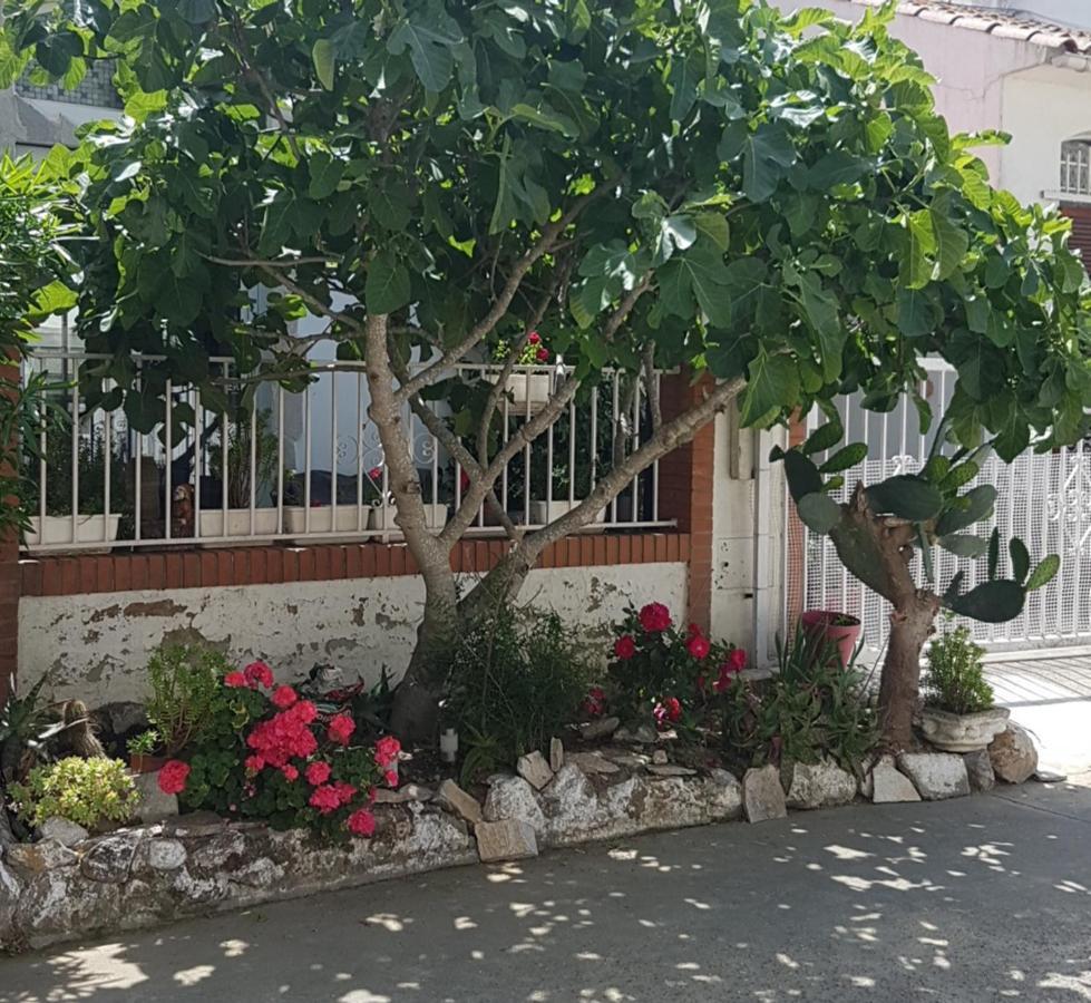 Maison De Vacances A Empuriabrava "Oasis" Villa Exterior foto